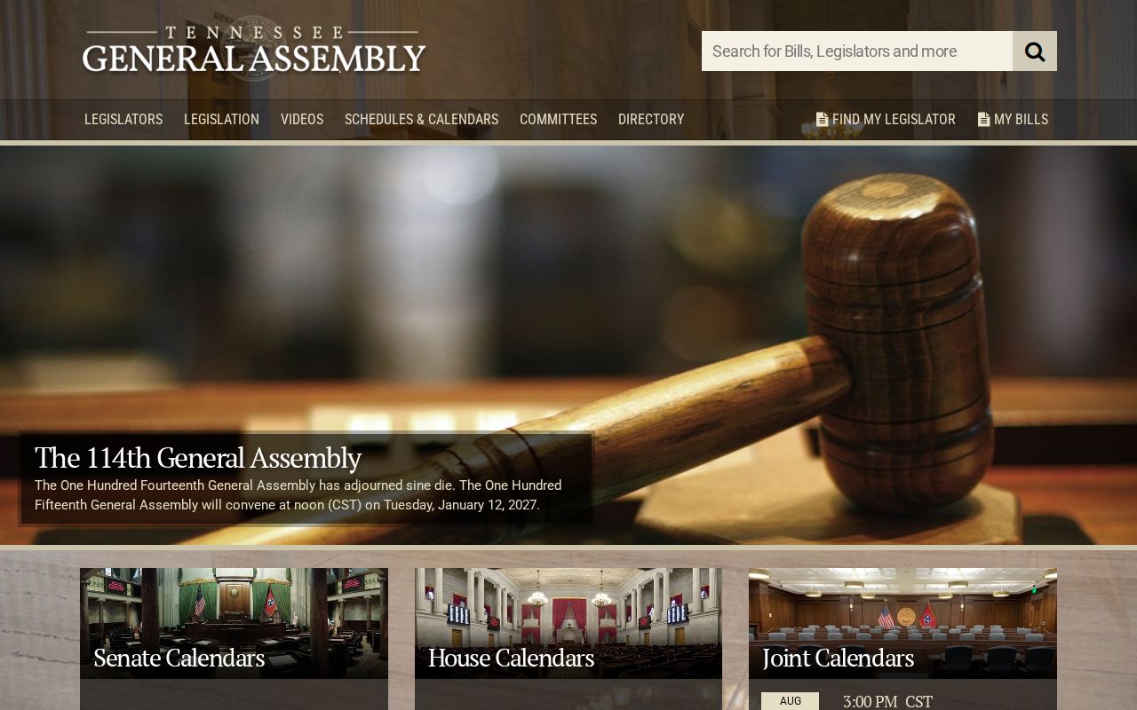 Medon criminal record access laws on the Tennessee statutes website